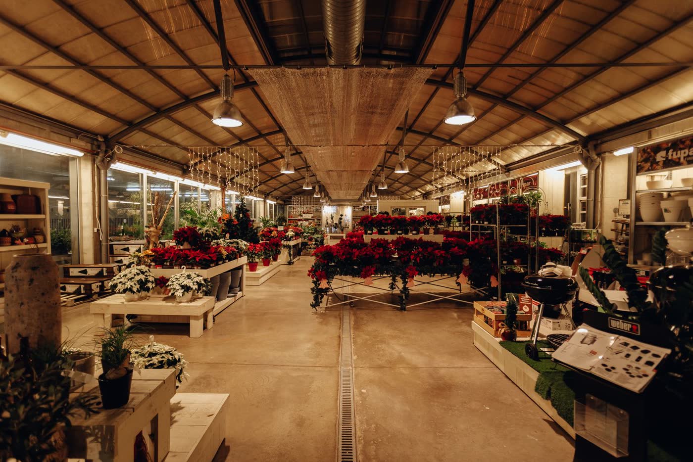 La boutique et ses seaux de fleurs fraîches