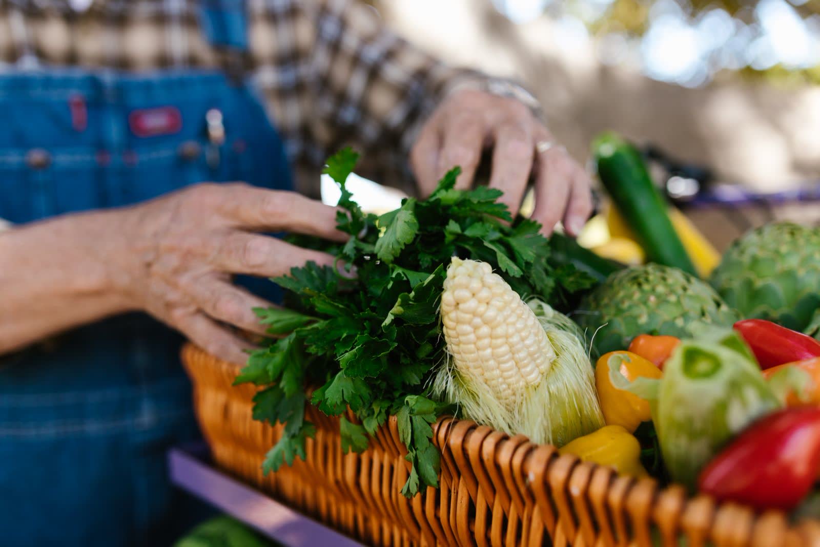Mains composant un panier de légumes frais