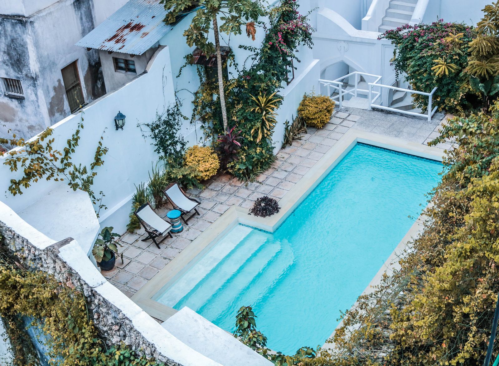 La piscine dans la cour close, entourée de pierre et d'oliviers