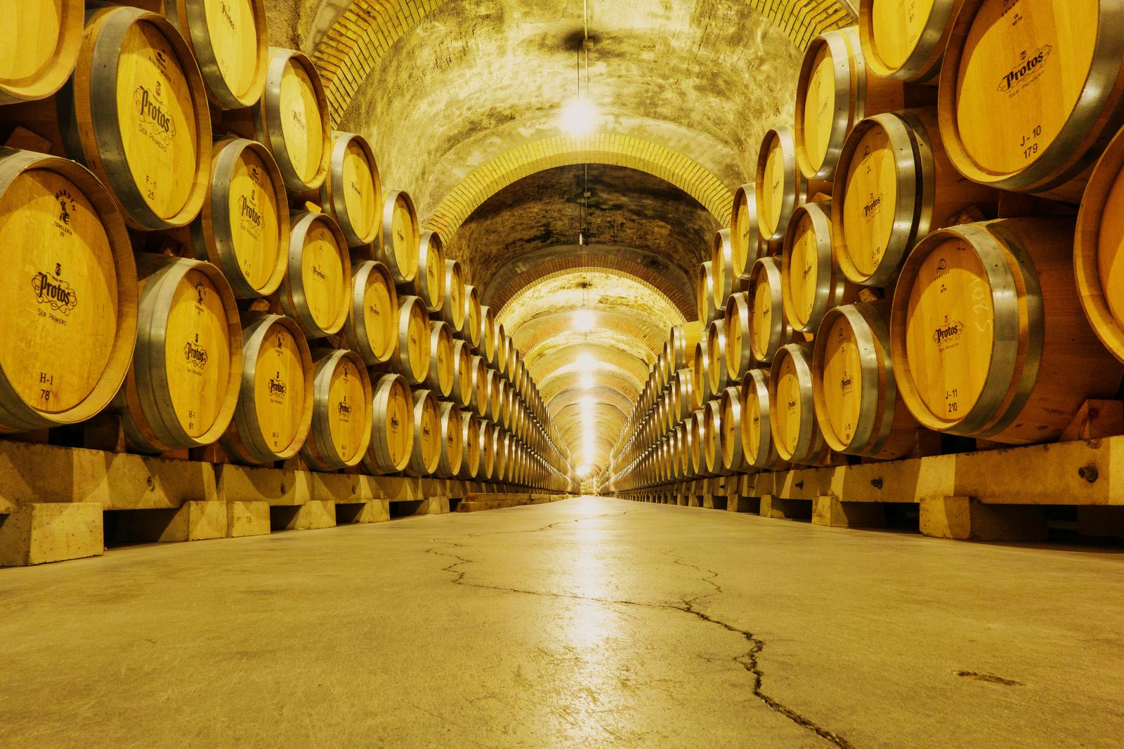 Le chai à barriques du domaine dans une lumière dorée