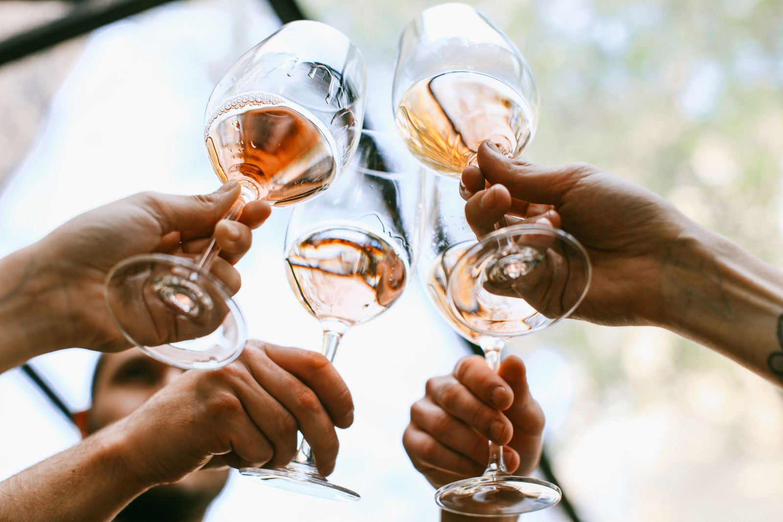 Verres levés au soleil pendant une dégustation au domaine